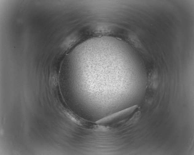 X0000078860474200611201318