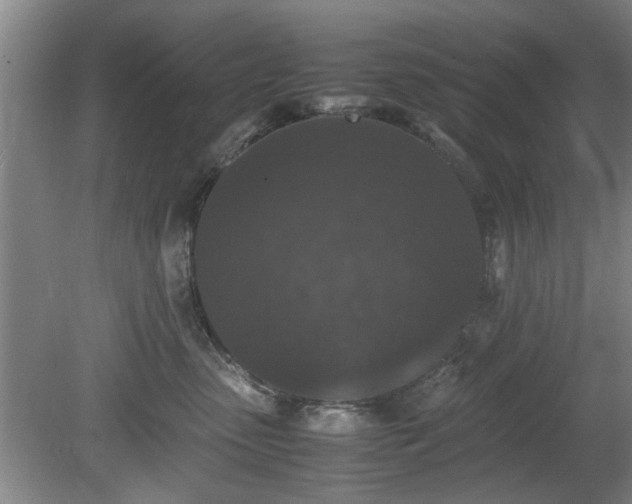 X0000078860475200611201318