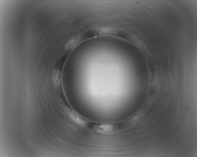 X0000078860478200611201318