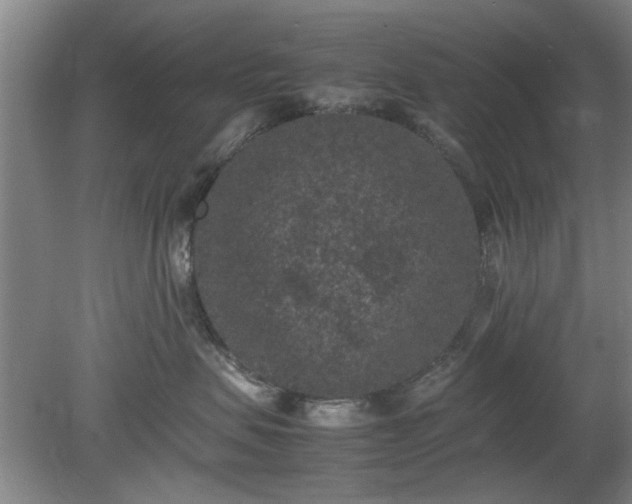 X0000078860479200611201318