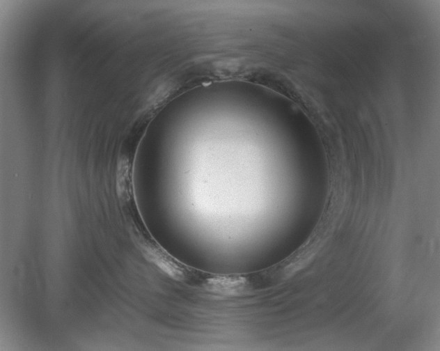 X0000078860480200611201318