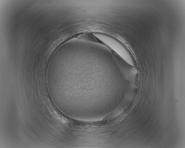 X0000078860481200611201317