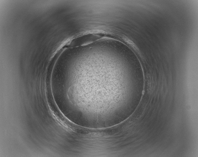 X0000078860482200611201317