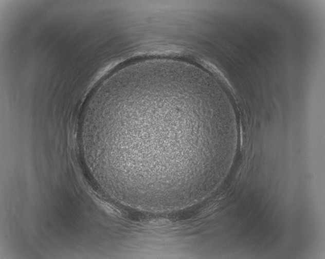 X0000078860483200611201317