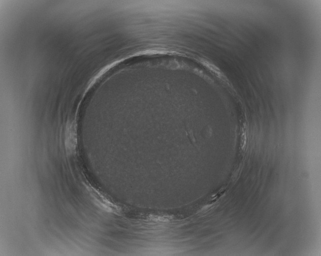 X0000078860484200611201317