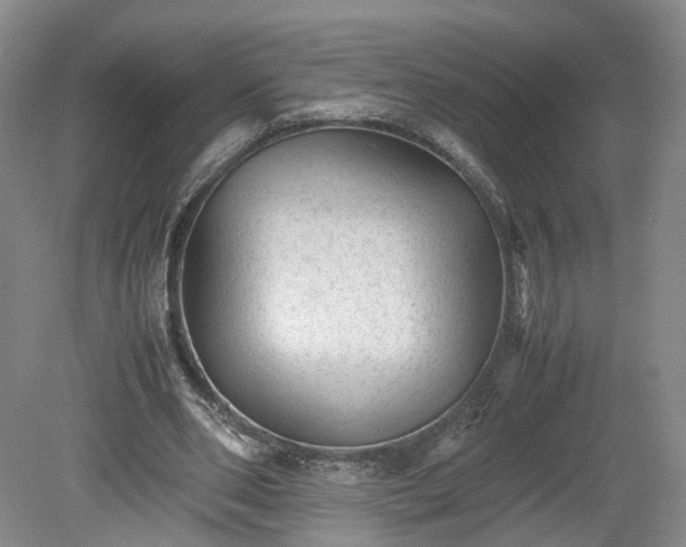 X0000078860486200611201317