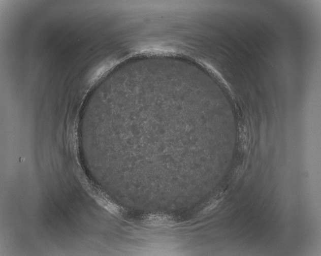 X0000078860487200611201317