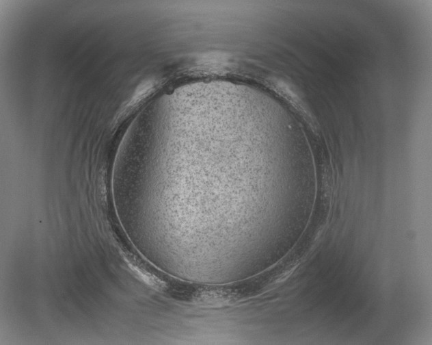 X0000078860489200611201317