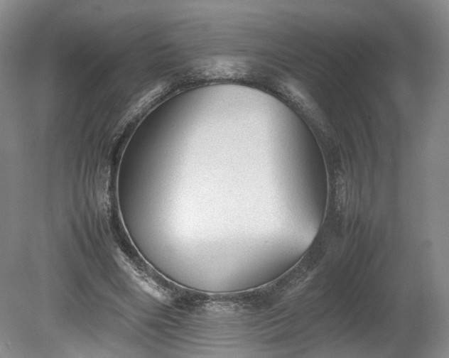 X0000078860490200611201317