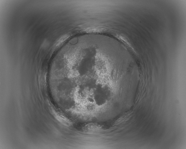 X0000078860491200611201317