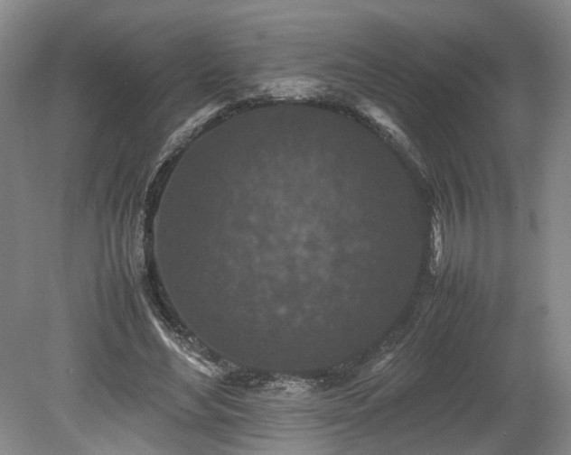 X0000078860492200611201317