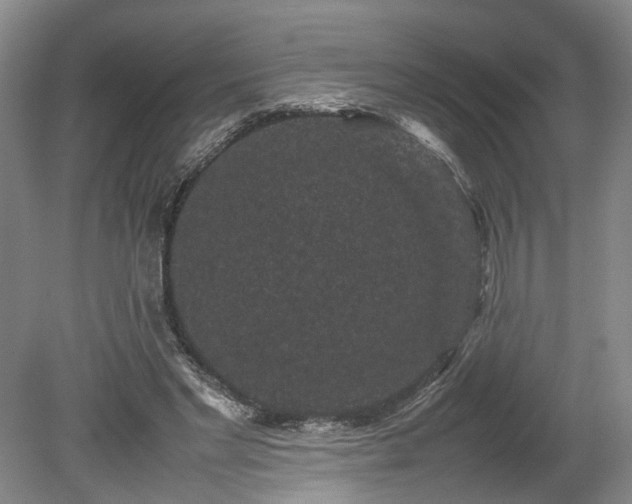 X0000078860493200611201317