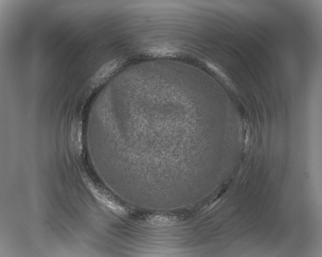 X0000078860494200611201317