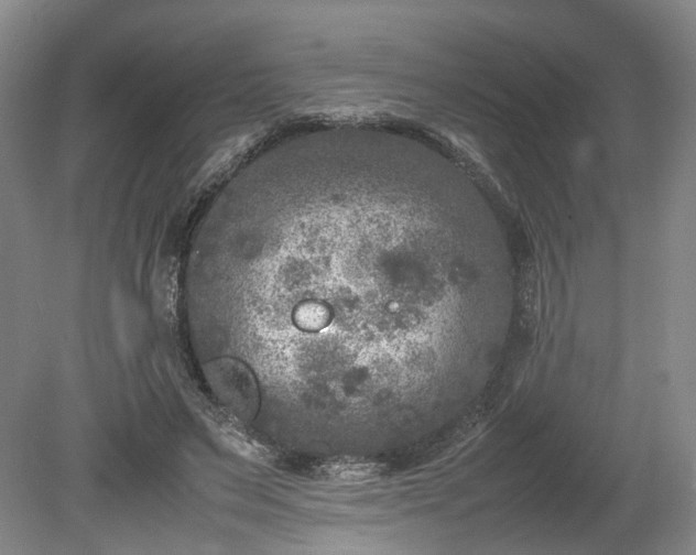 X0000078860495200611201317