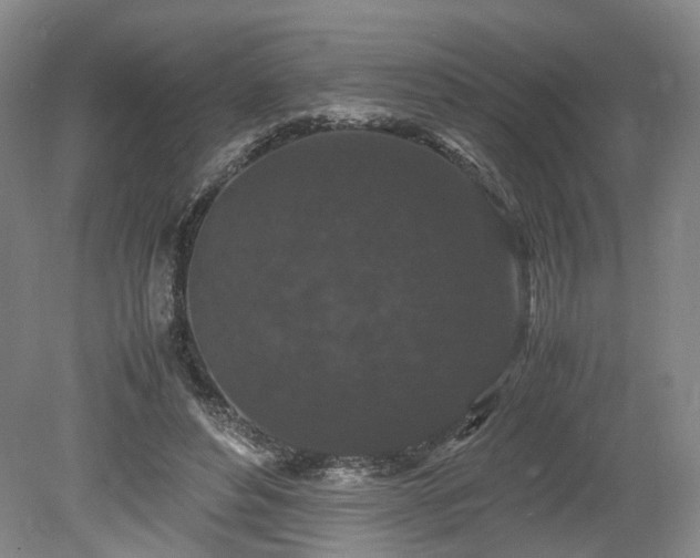 X0000078860496200611201317