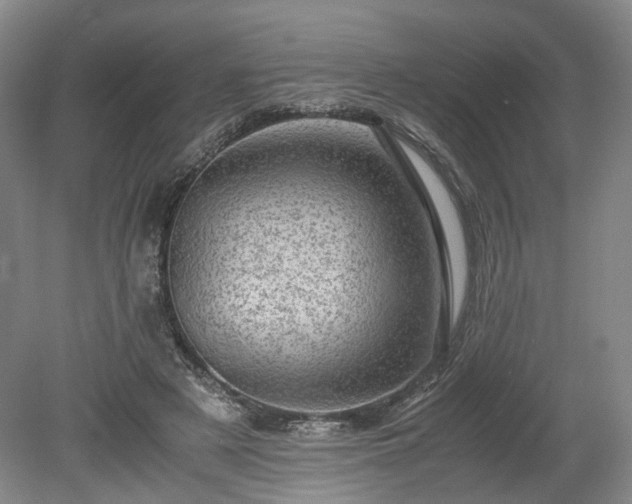 X0000078860497200611201317