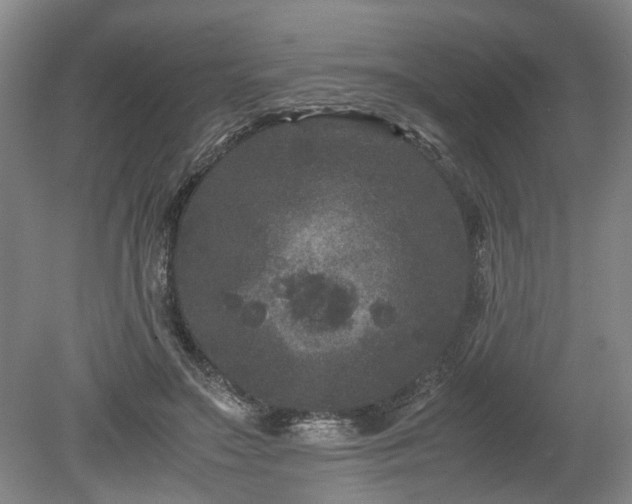 X0000078860499200611201317