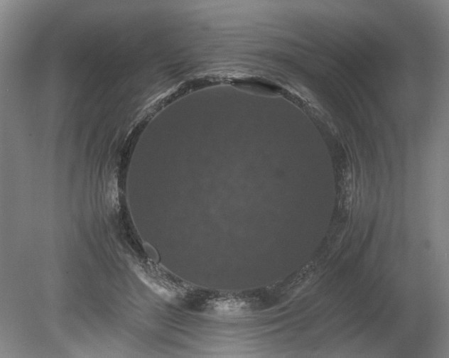 X0000078860500200611201317