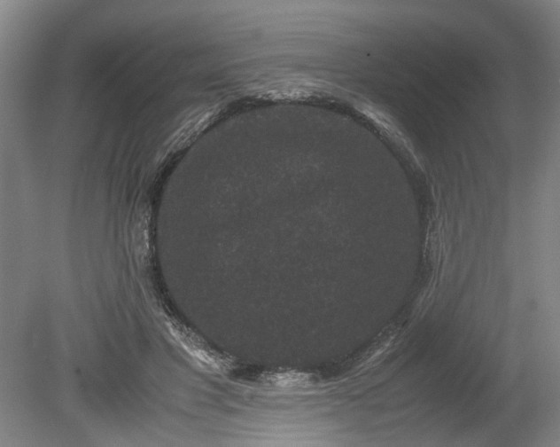 X0000078860501200611201317