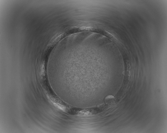 X0000078860502200611201317