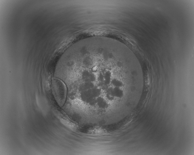 X0000078860503200611201317