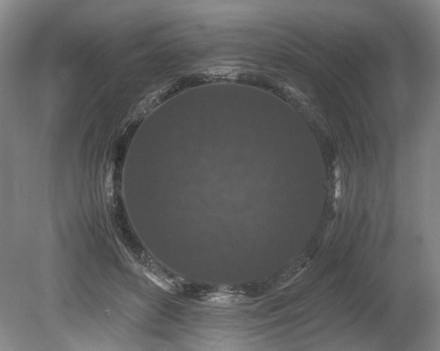 X0000078860504200611201317