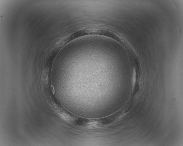 X0000078860505200611201317