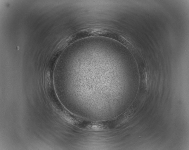 X0000078860506200611201317