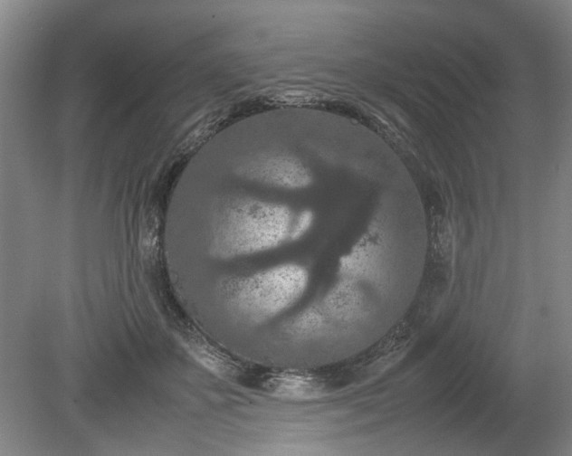 X0000078860507200611201317