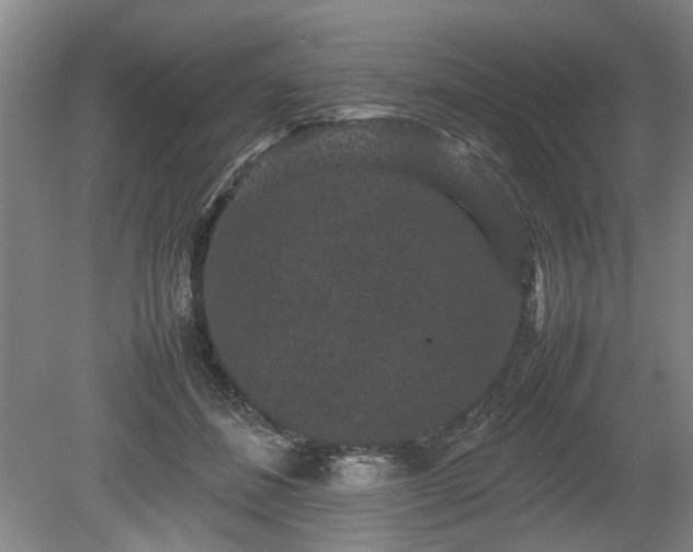 X0000078860508200611201317