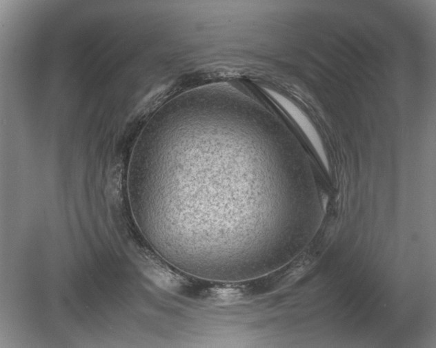 X0000078860509200611201317