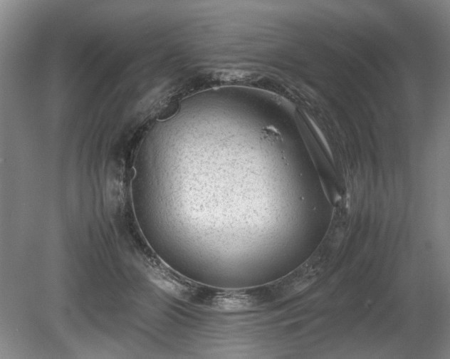 X0000078860510200611201317