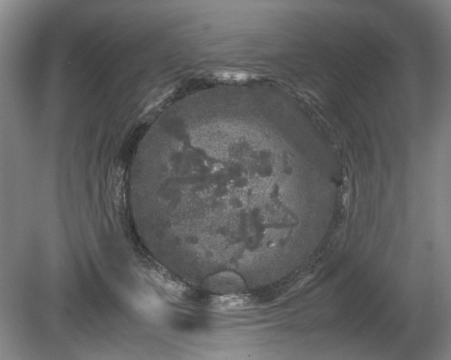 X0000078860511200611201317