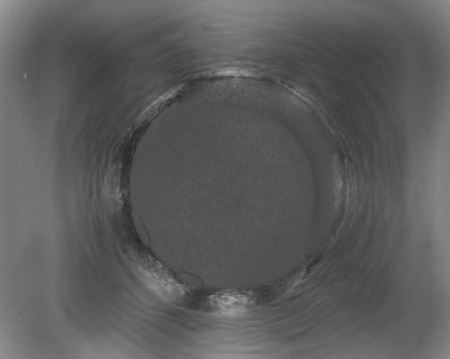 X0000078860512200611201317