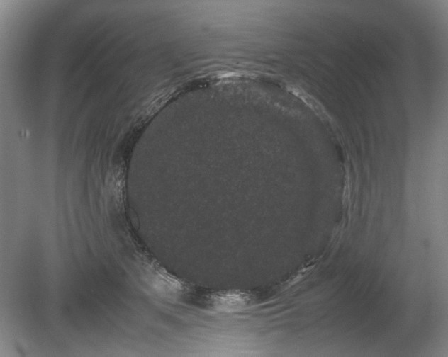 X0000078860513200611201317