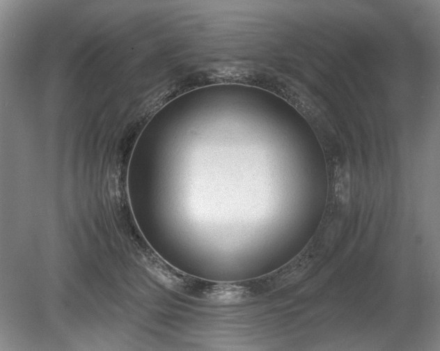 X0000078860514200611201317