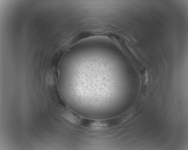 X0000078860515200611201317