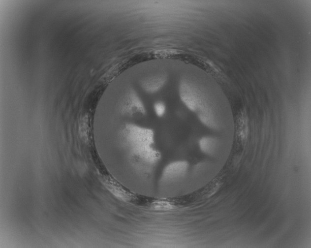 X0000078860519200611201317