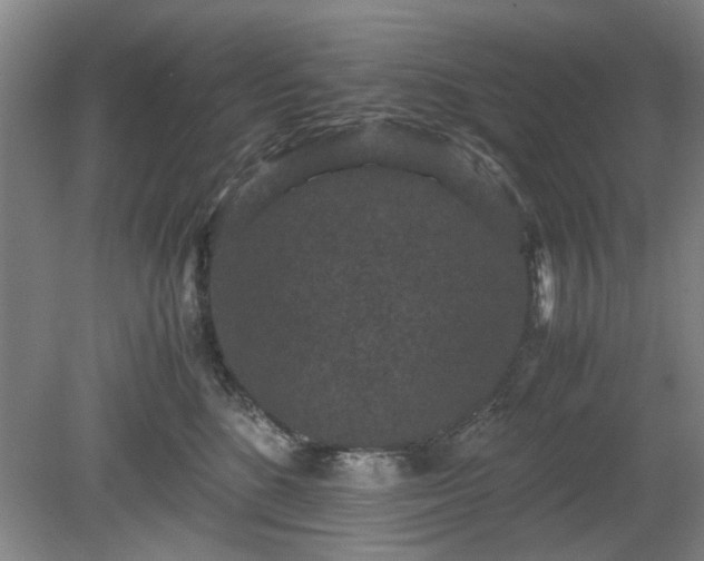 X0000078860520200611201317