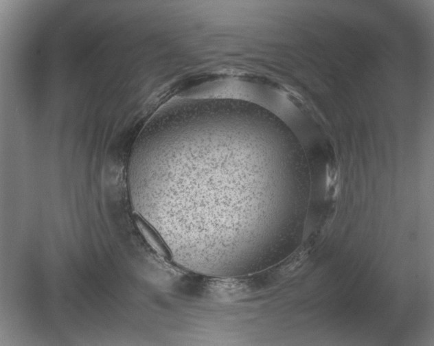 X0000078860521200611201317