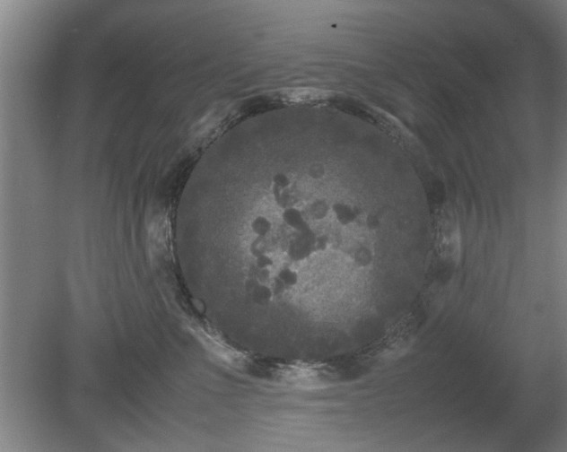 X0000078860523200611201317