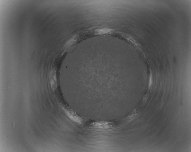 X0000078860524200611201317