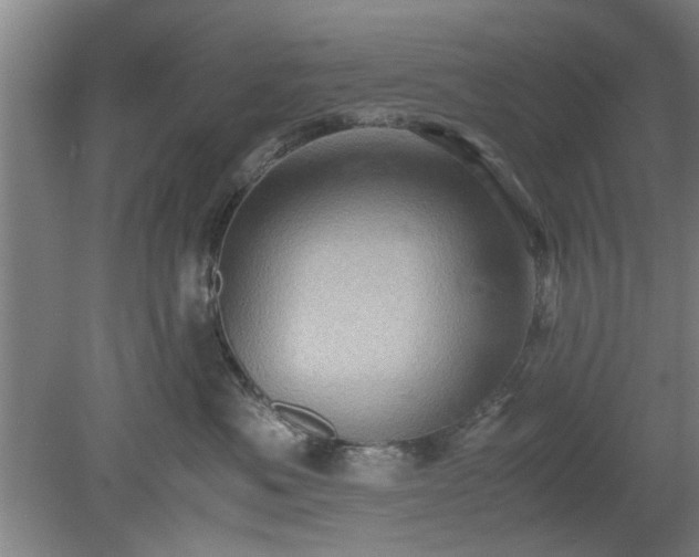 X0000078860525200611201317