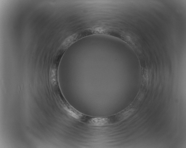 X0000078860526200611201316