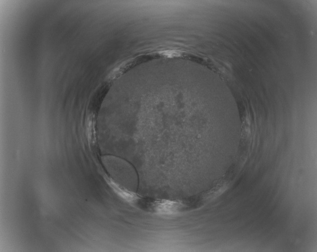 X0000078860527200611201316