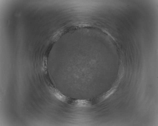 X0000078860528200611201316