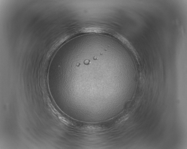 X0000078860529200611201316