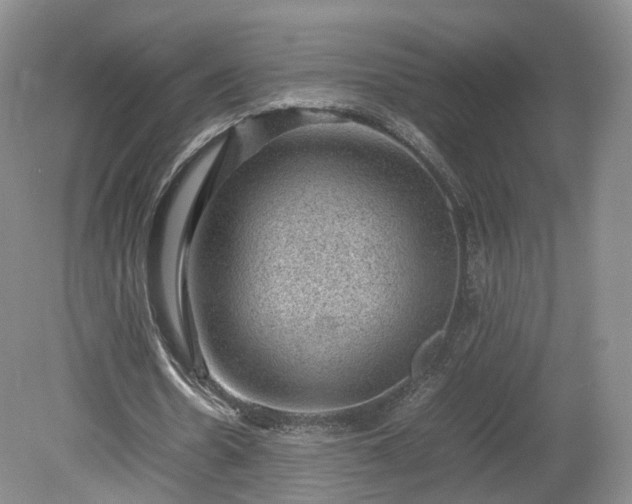 X0000078860530200611201316