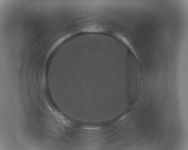 X0000078860531200611201316