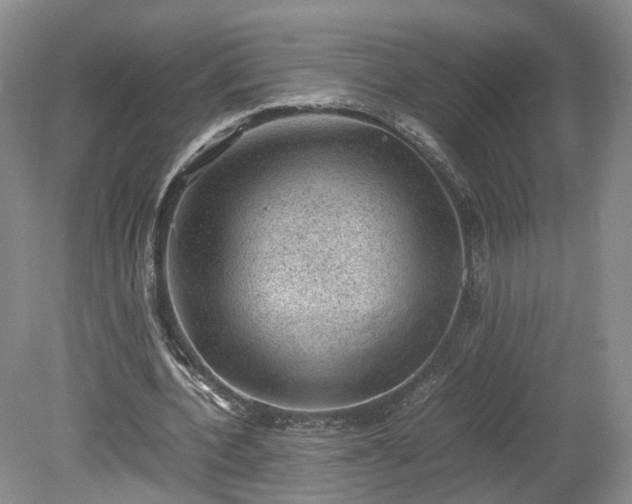 X0000078860532200611201316